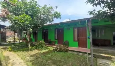 Kos MURIA UNGARAN Type 1