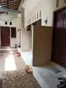 Terima kost Type 1
