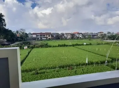 KOS FASILITAS LENGKAP VIEW SAWAH Type 1 - Foto 3