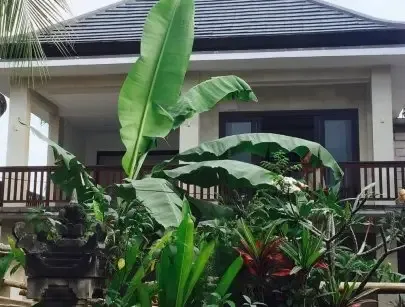 Kos MURAH UBUD Type 1