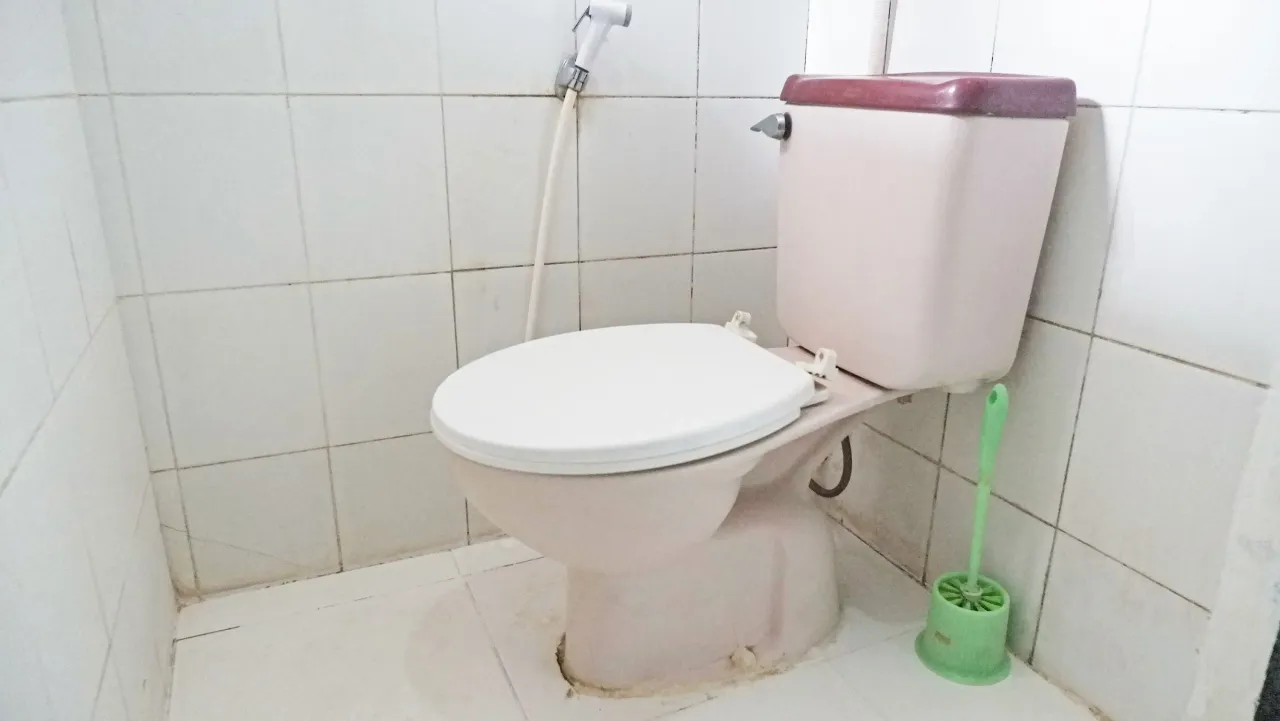 Cat Lovers Home Pulo Blok M Superior Single B - Foto 2