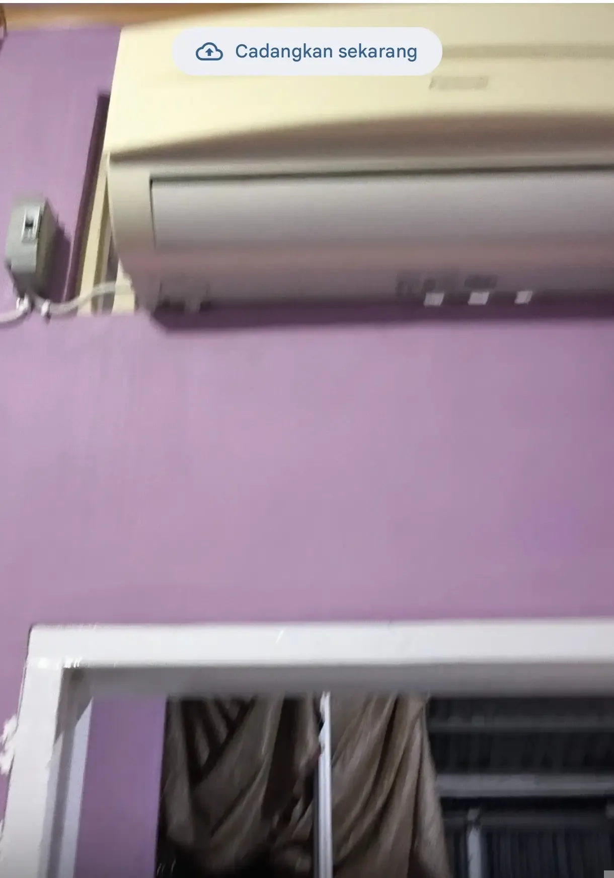 Purple kost kenten AC